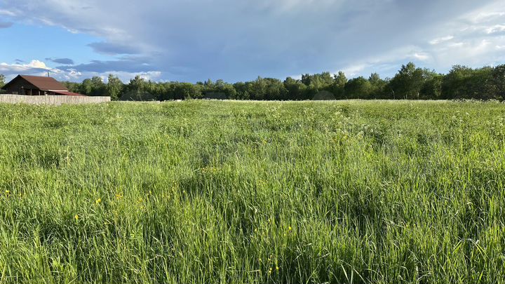 Участок 10 сот. (СНТ, ДНП)