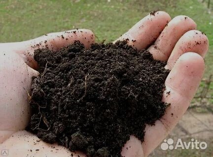 Чернозем Сбалансированный
