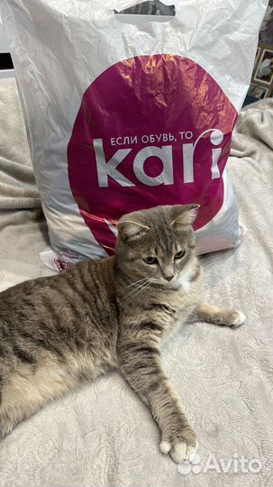 Пакет женских вещей 40-42-44