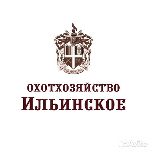 Охранник