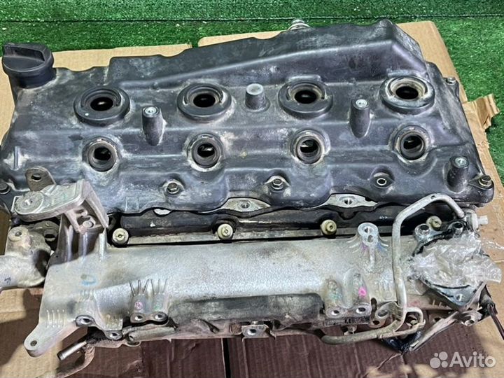 Гбц Головка Hilux Fortuner Dyna Hiace Toyoace 2.5