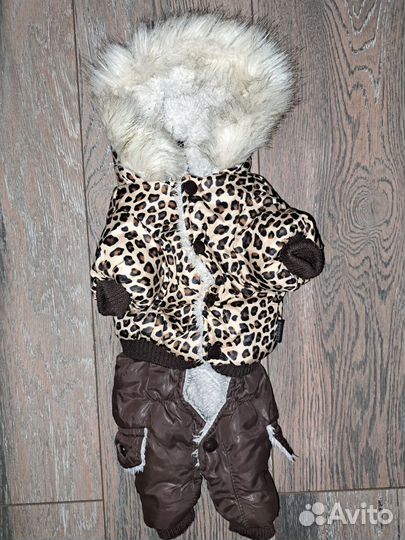 Одежда для маленьких собак