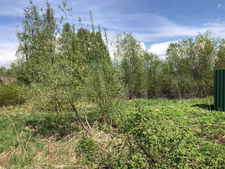 Участок 12 сот. (СНТ, ДНП)