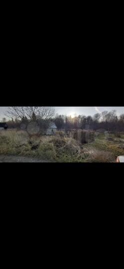 Участок 14 сот. (СНТ, ДНП)