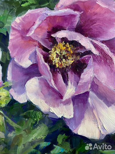 Картина маслом Пионы