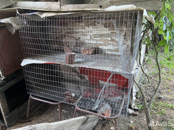 Клетка для кроликов