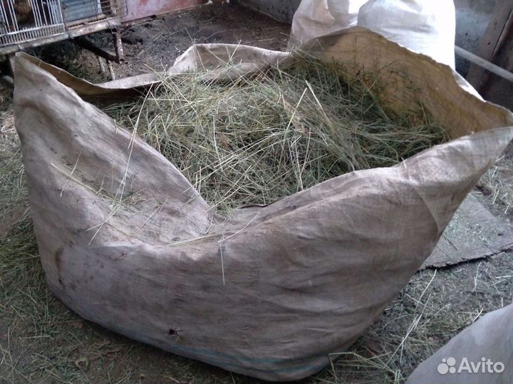 Сено в разновес