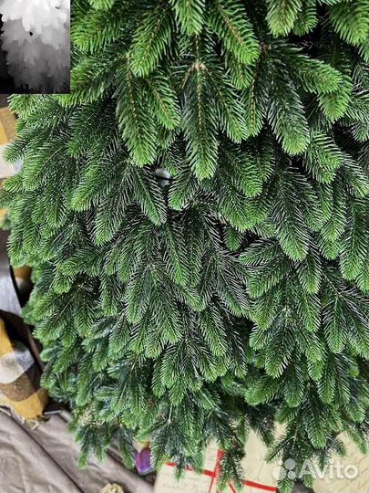 Ёлка эко