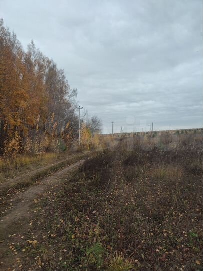 Участок 6 сот. (ИЖС)