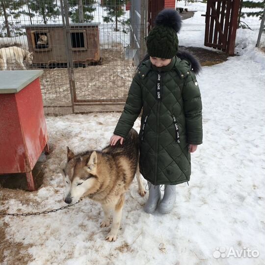 Пуховик зимний длинный для девочки