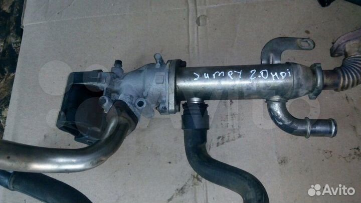 Радиатор EGR Citroen Jumpy 2 2.0HDI 2008