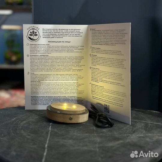 Новогодний флорариум с подсветкой - 