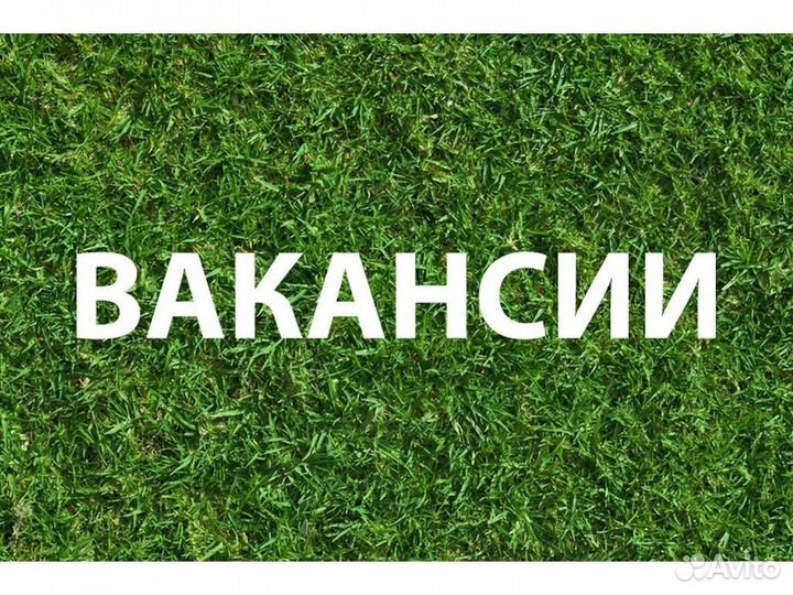Упаковщик Требуется на Склад техники Хор. усл. Б/О