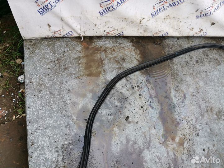 Уплотнительная резинка багажника Renault Scenic II