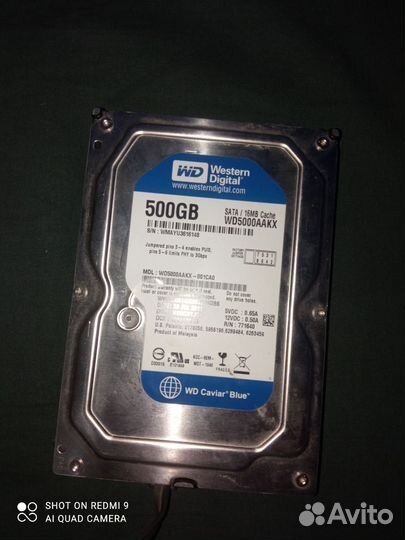 Жесткий диск 500 гб для пк