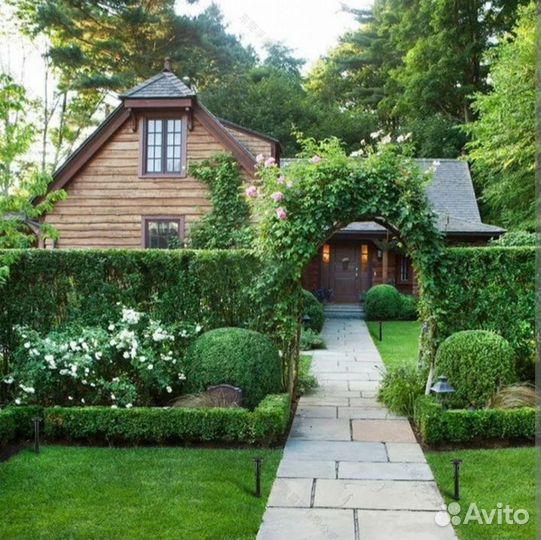 Топиарная стрижка растений