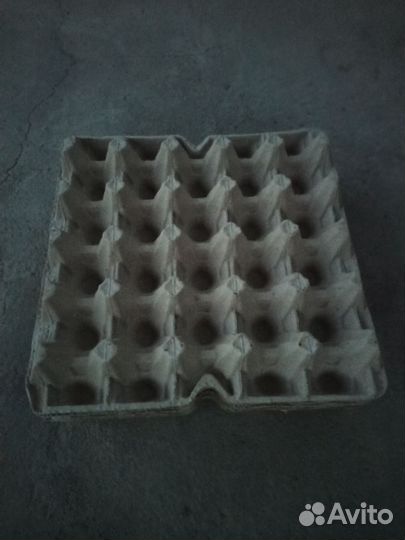 Ячейки для яиц