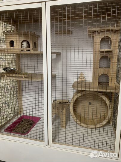 Шиншилла с Клеткой