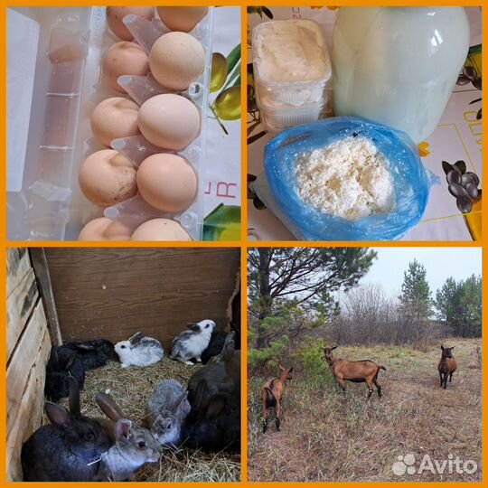 Молоко козье