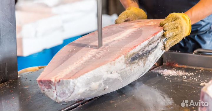 Ленточные пилы, полотно по мясу, рыбе