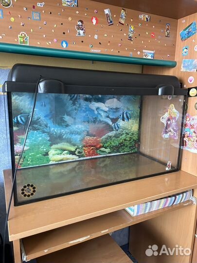 Аквариум