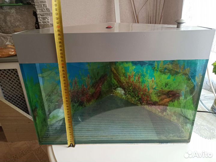 Аквариум