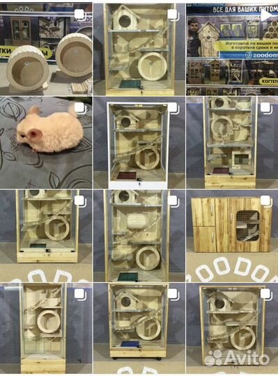 Дом для шиншилл дегу