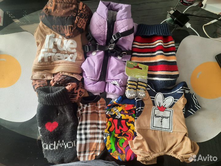 Одежда для собак мелких пород девочек