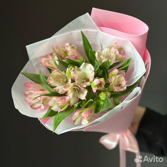 Альстромерия Альстромерии