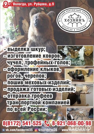 Выделка шкур, таксидермия, закупка шкурок пушнины