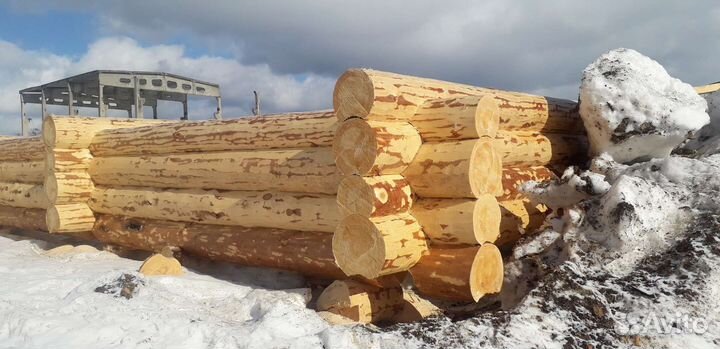 Рубим срубы