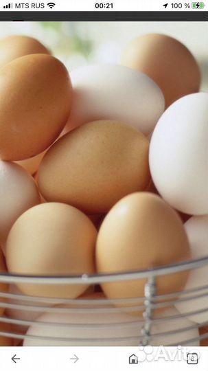 Инкубационное яйцо индоутки