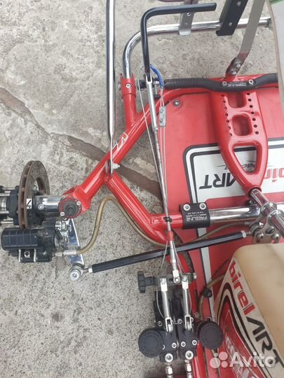 Картинг Birel Art 2021