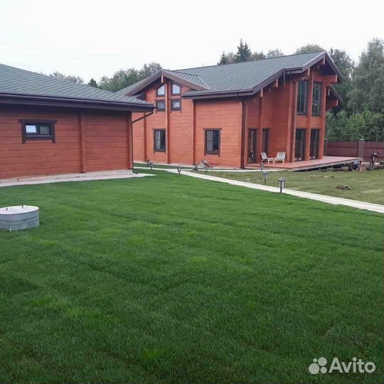 Укладка и продажа газона