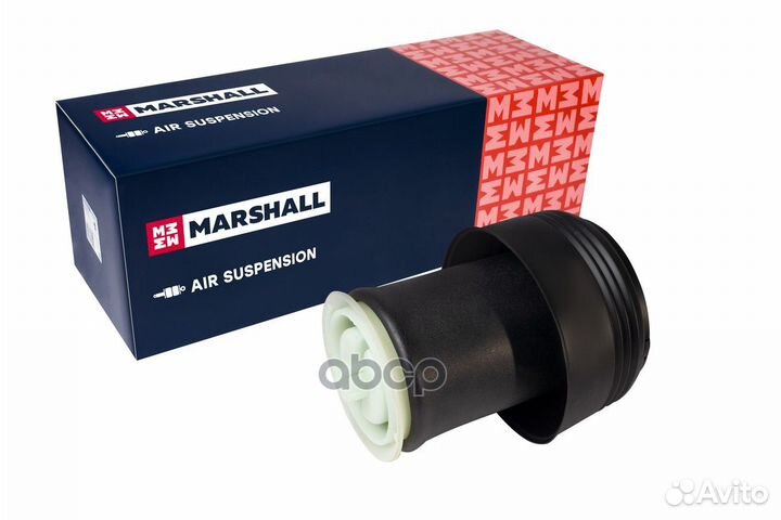 Пневмобаллон задн. BMW X5 (E70, F15) 07, BMW X6