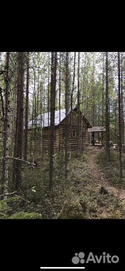 Охота на гуся,рыбалка, сплав, баня, отдых в тайге