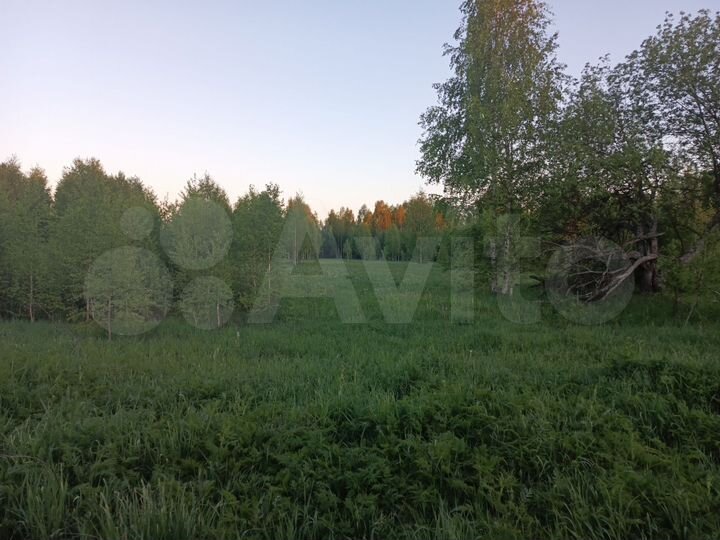 Участок 25,1 га (ИЖС)