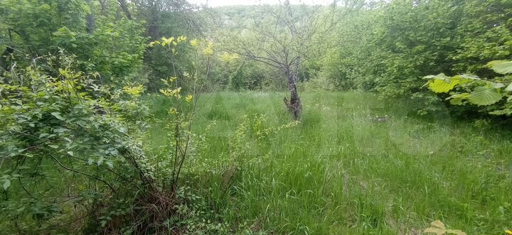 Участок 17,8 сот. (ИЖС)