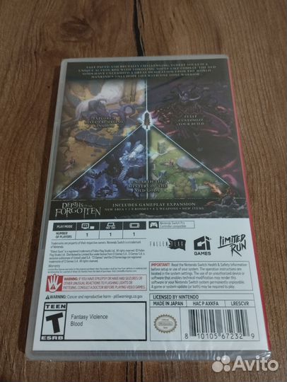 Eldest Souls Nintendo switch