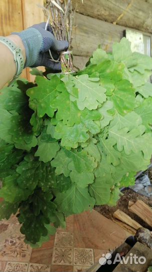 Веники для бани