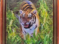 Картина 3Д Тигр