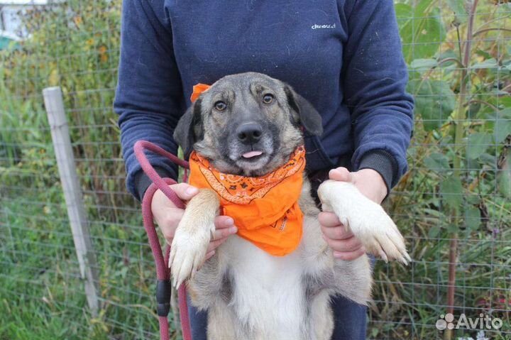 Скромная девочка Мира, из приюта