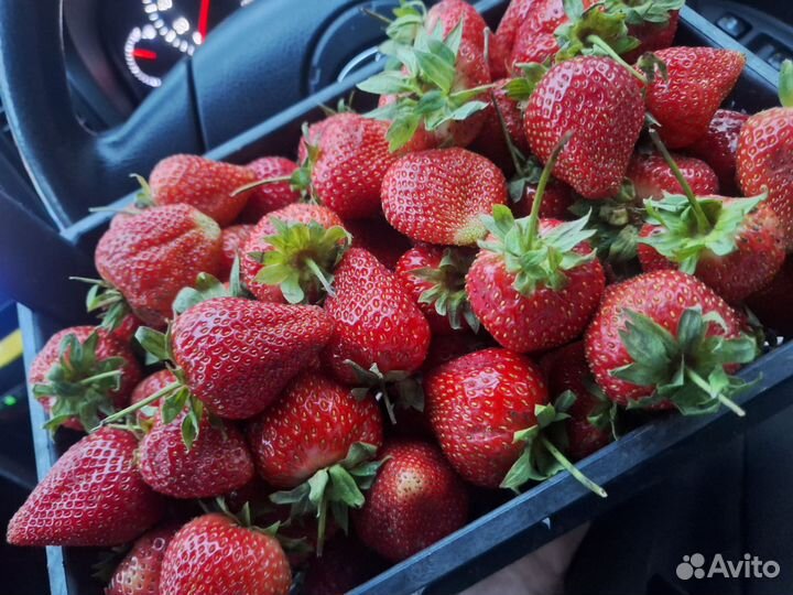 Клубника и Черешня свежая с доставкой