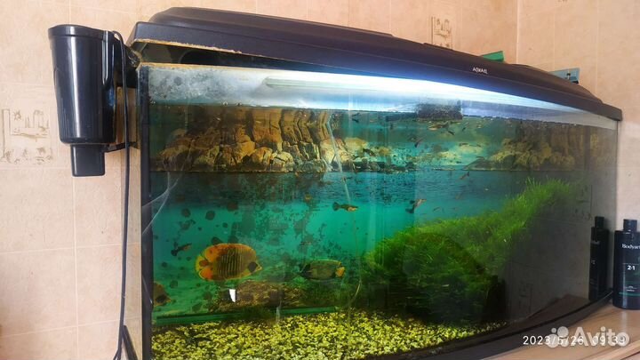 Аквариум 210л