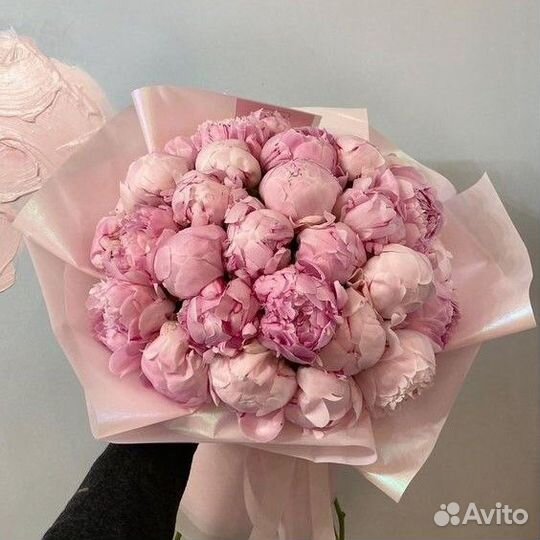21 51 101 пион с доставкой, букет пионов