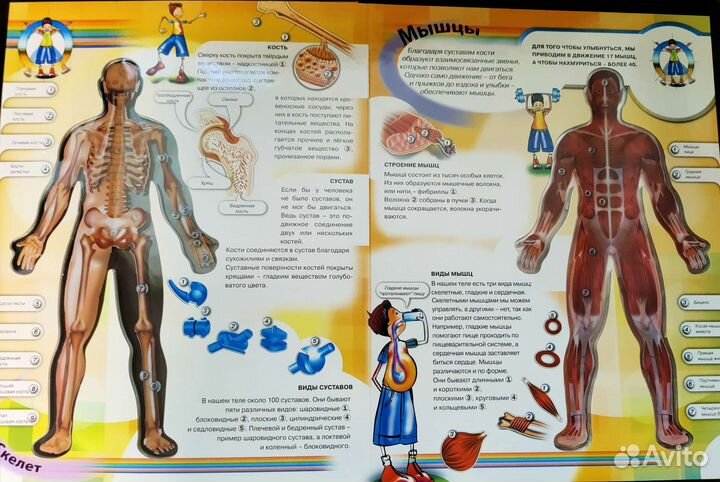 Детская энциклопедия 