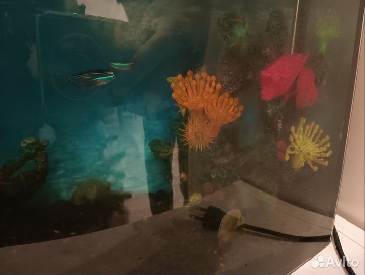 Аквариум
