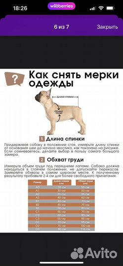 Комбинезон for my dogs