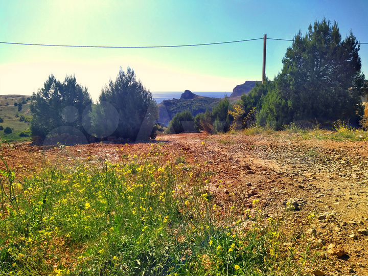 Участок 3,9 сот. (СНТ, ДНП)