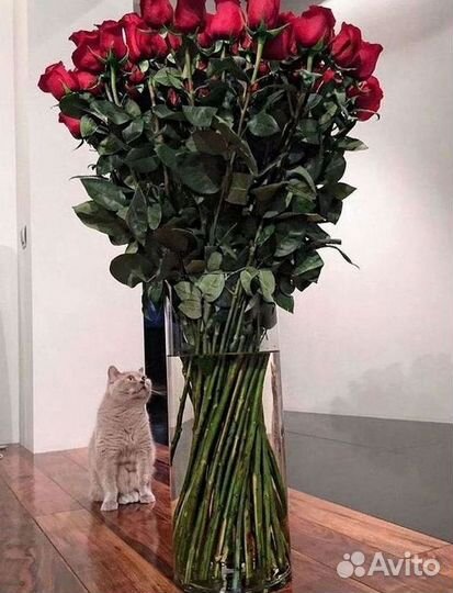Высокие розы Гигантские розы Доставка цветов